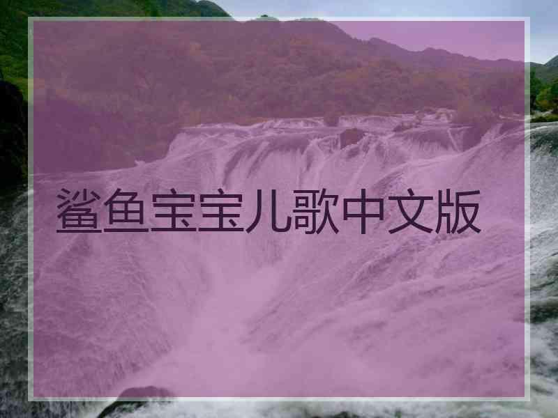 鲨鱼宝宝儿歌中文版