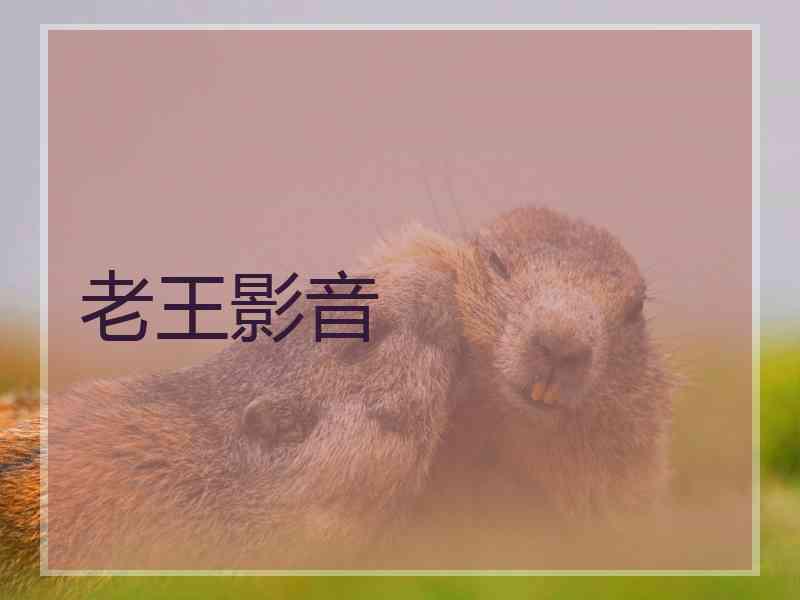 老王影音