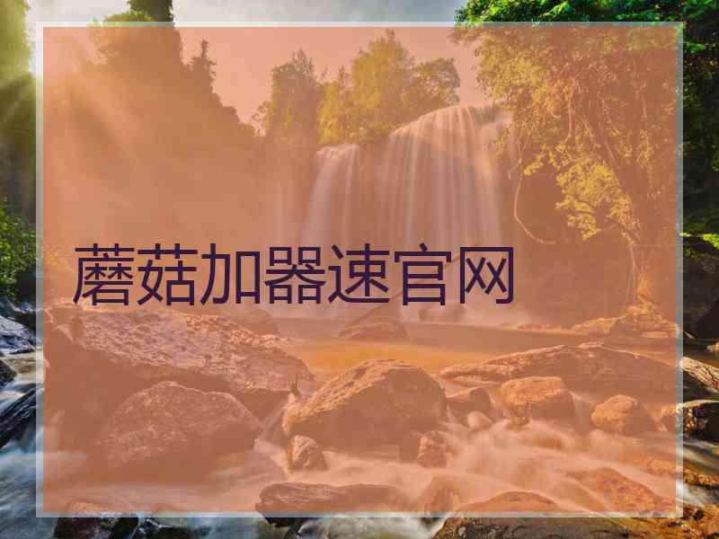 蘑菇加器速官网