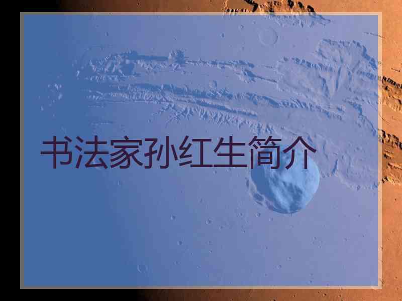 书法家孙红生简介