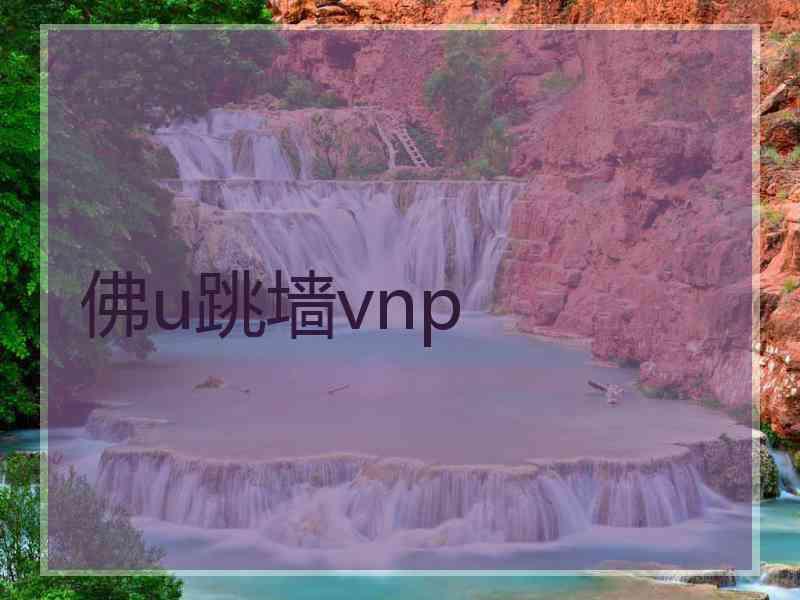 佛u跳墙vnp