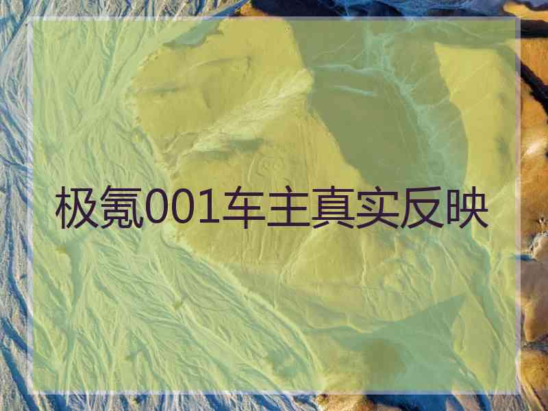 极氪001车主真实反映