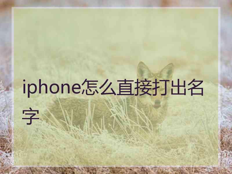 iphone怎么直接打出名字