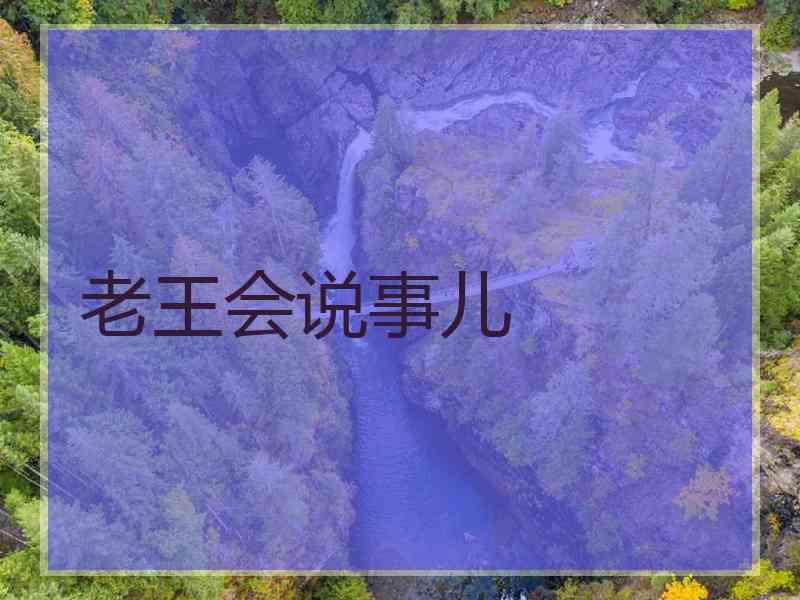 老王会说事儿