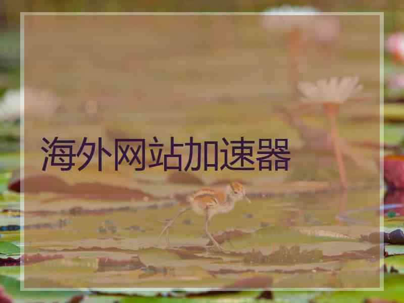 海外网站加速器