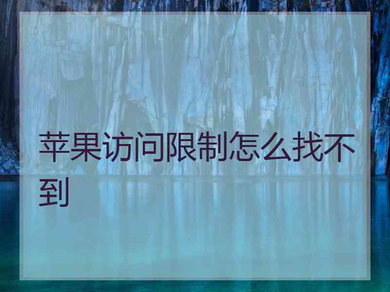 苹果访问限制怎么找不到