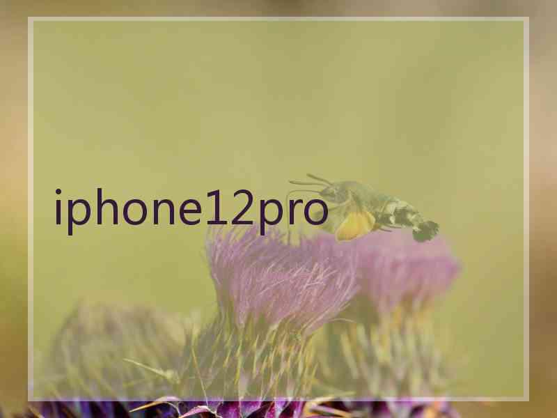 iphone12pro