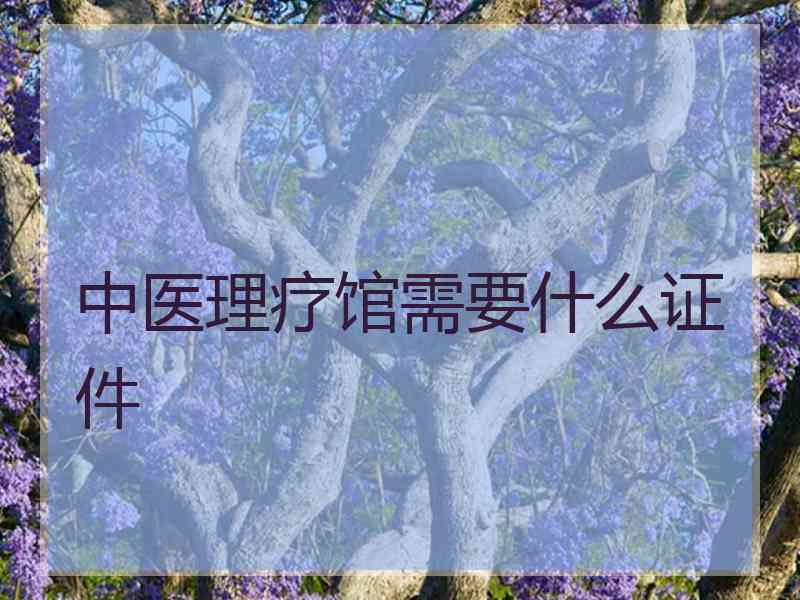 中医理疗馆需要什么证件