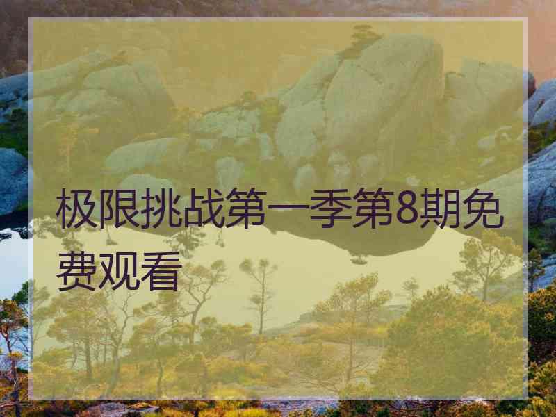 极限挑战第一季第8期免费观看