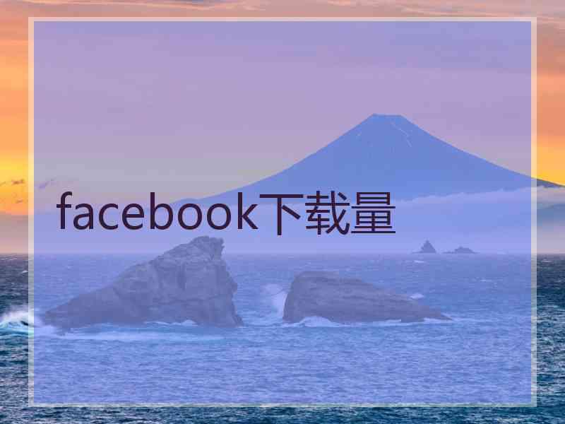 facebook下载量