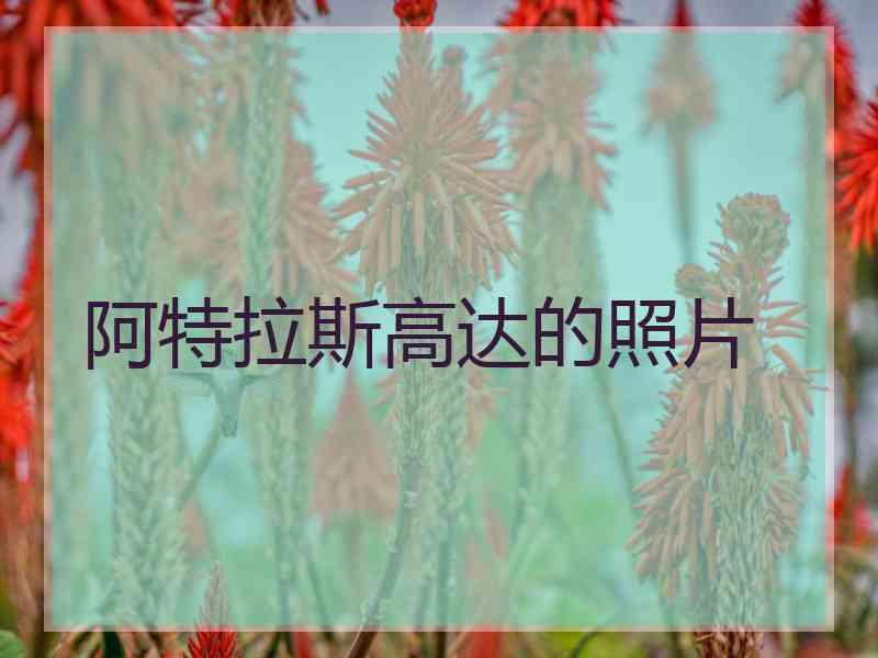 阿特拉斯高达的照片