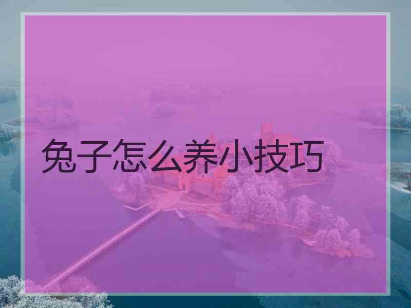 兔子怎么养小技巧