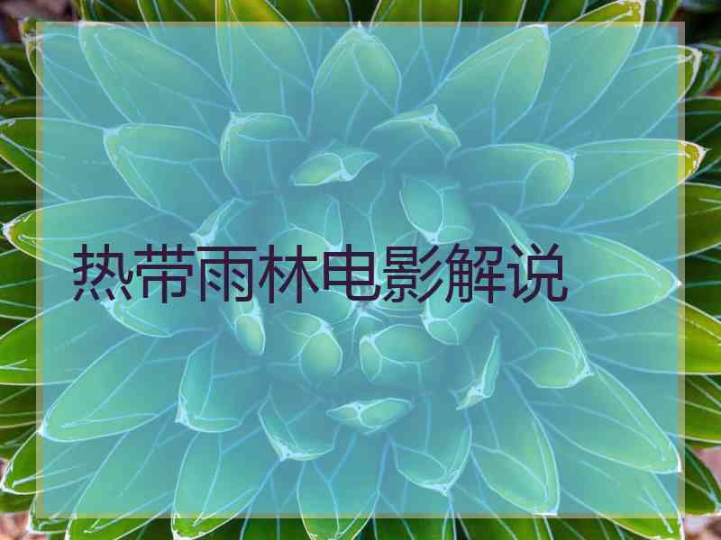 热带雨林电影解说