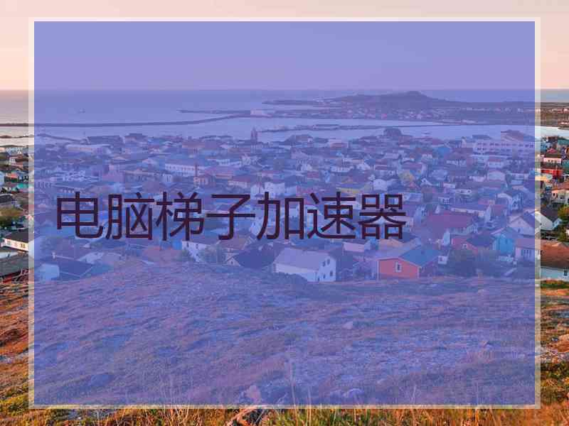 电脑梯子加速器