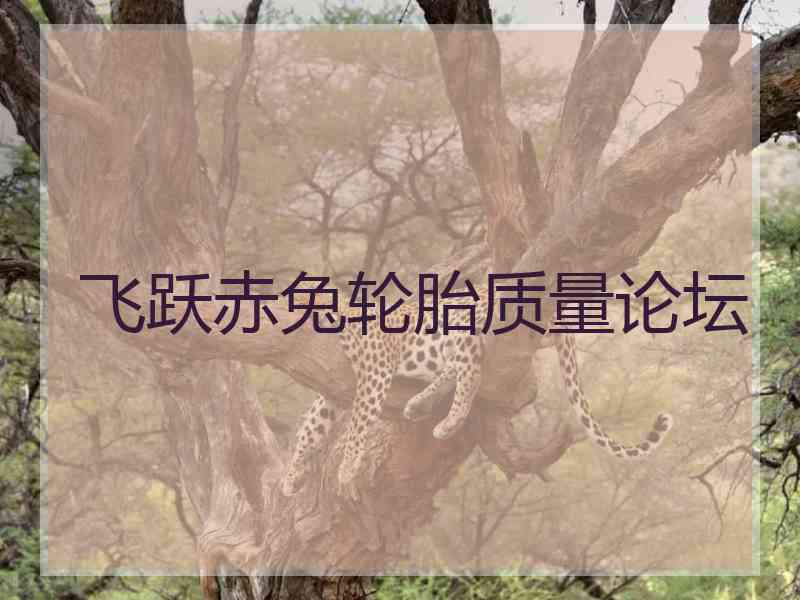 飞跃赤兔轮胎质量论坛