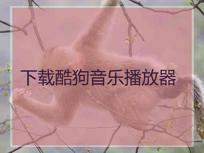 下载酷狗音乐播放器