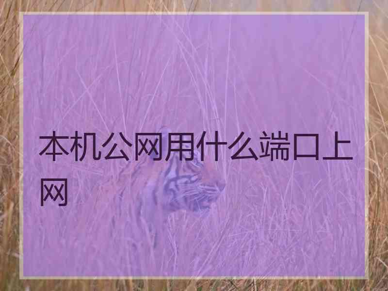 本机公网用什么端口上网