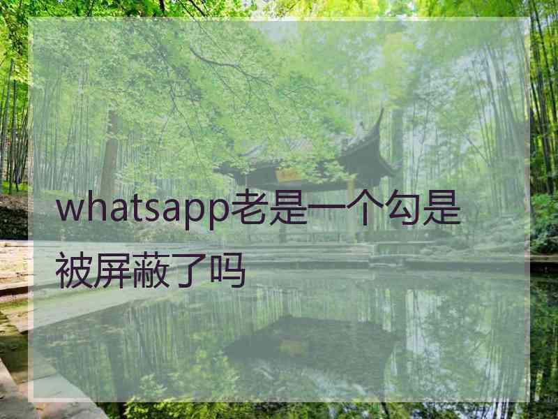 whatsapp老是一个勾是被屏蔽了吗