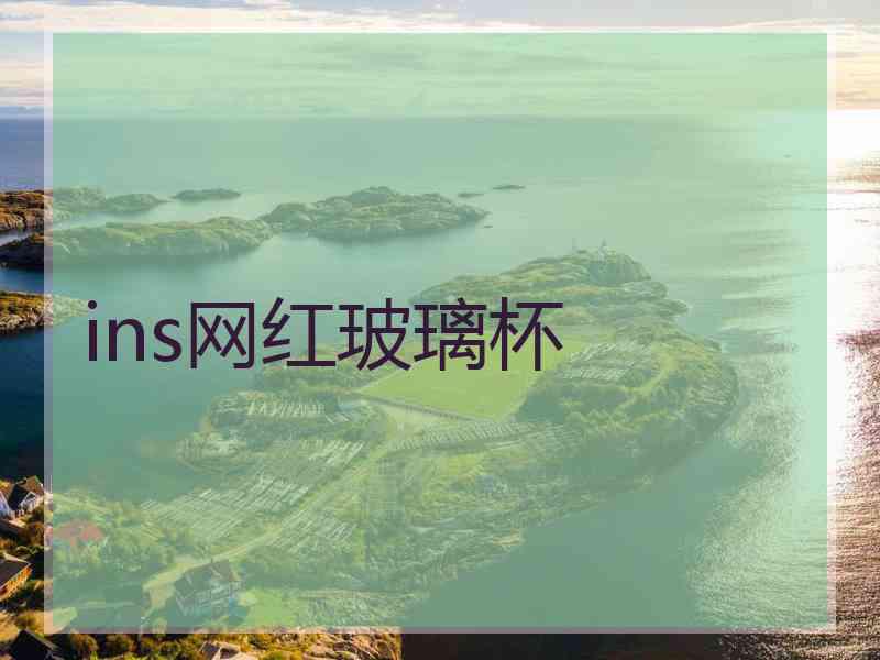 ins网红玻璃杯