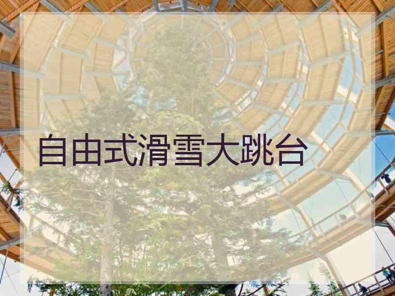 自由式滑雪大跳台