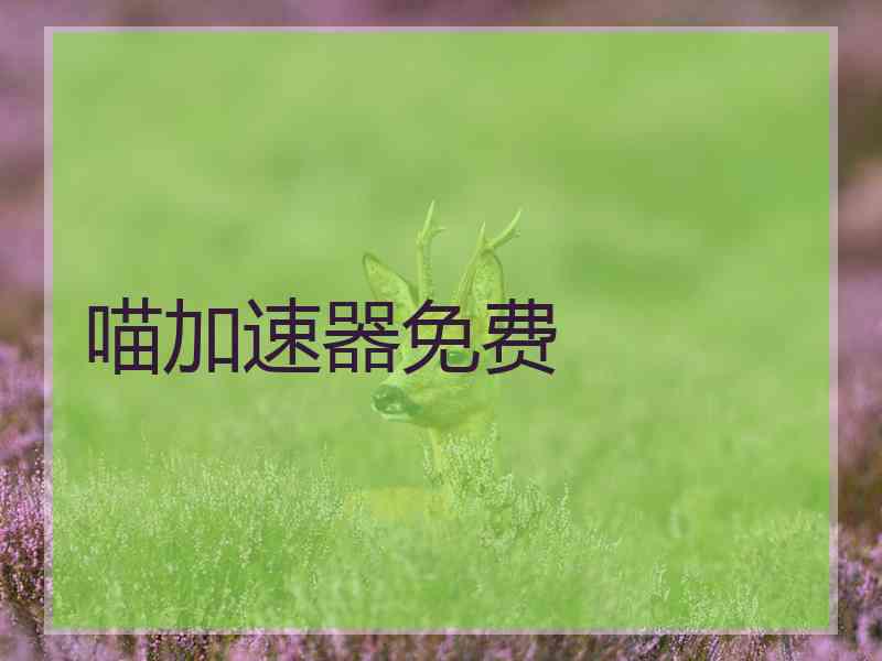 喵加速器免费
