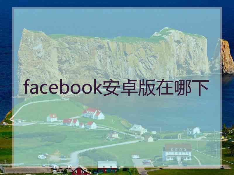facebook安卓版在哪下