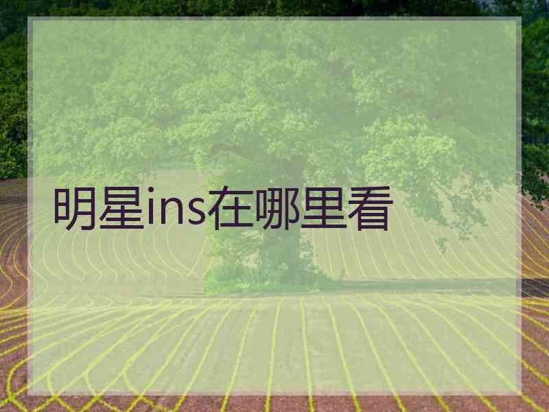 明星ins在哪里看