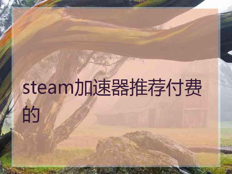 steam加速器推荐付费的