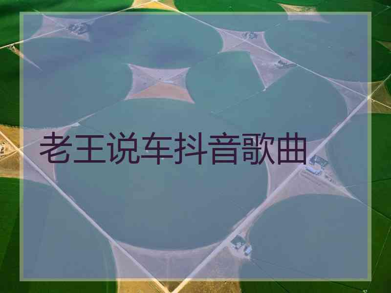 老王说车抖音歌曲