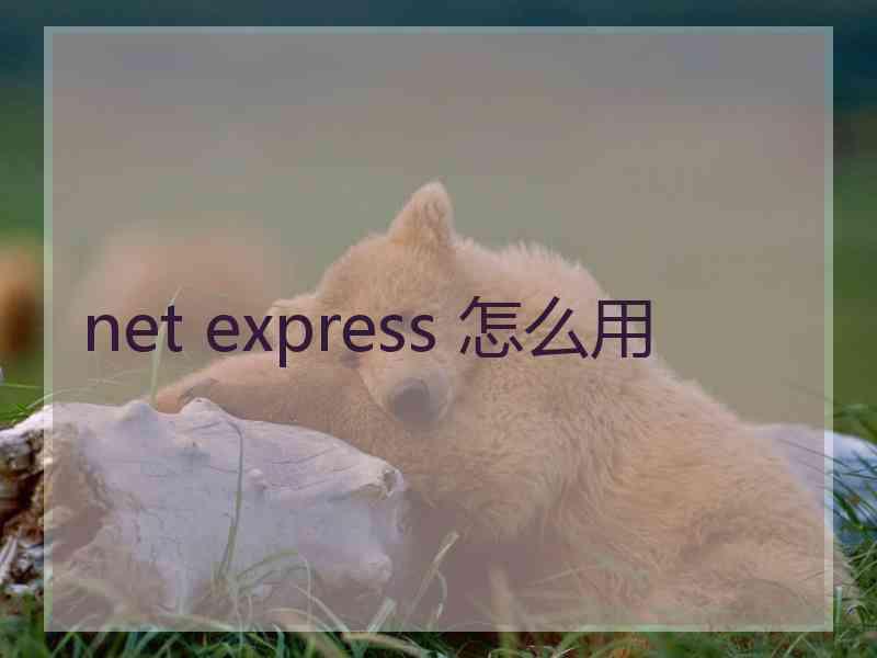 net express 怎么用