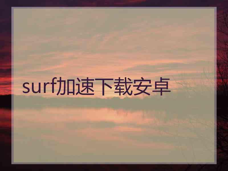 surf加速下载安卓