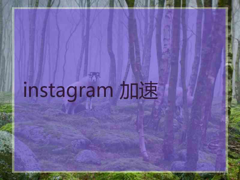 instagram 加速