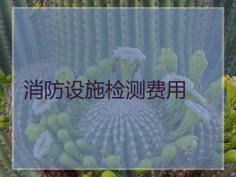 消防设施检测费用