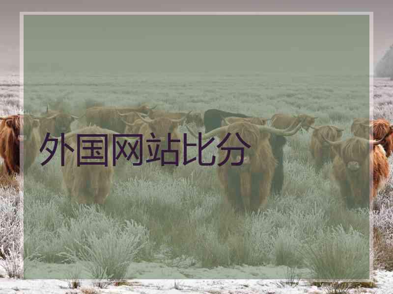 外国网站比分