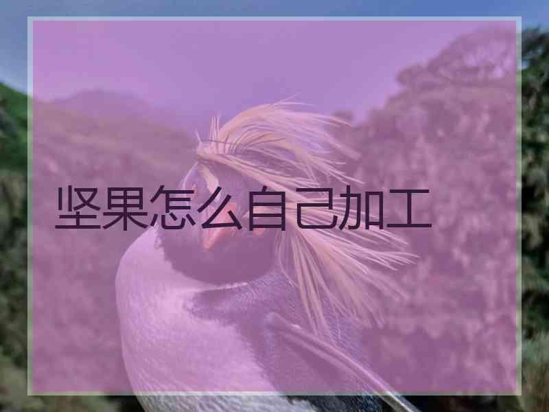 坚果怎么自己加工