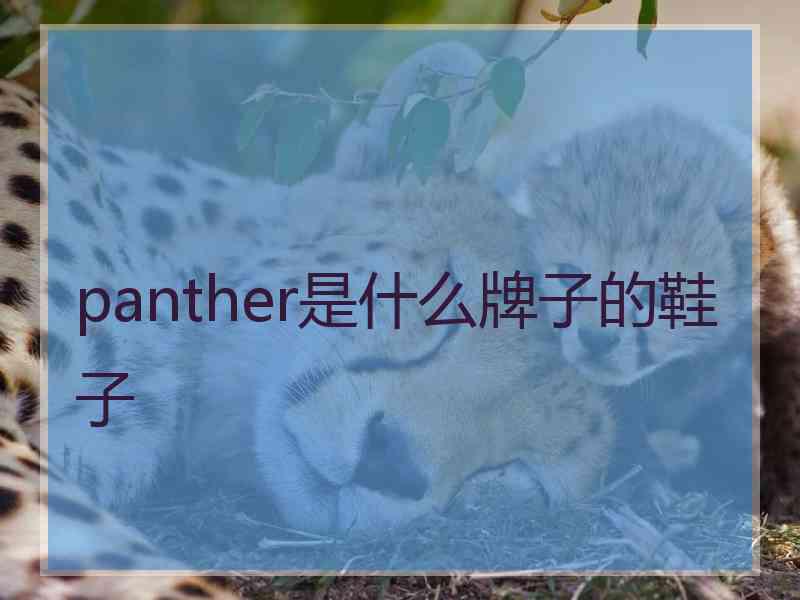 panther是什么牌子的鞋子