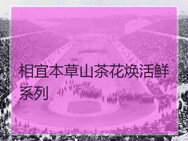 相宜本草山茶花焕活鲜系列