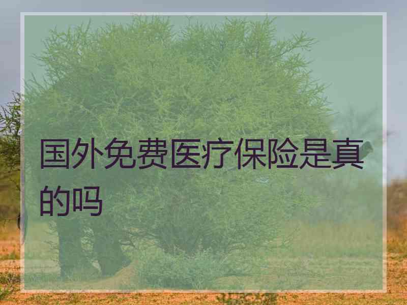 国外免费医疗保险是真的吗