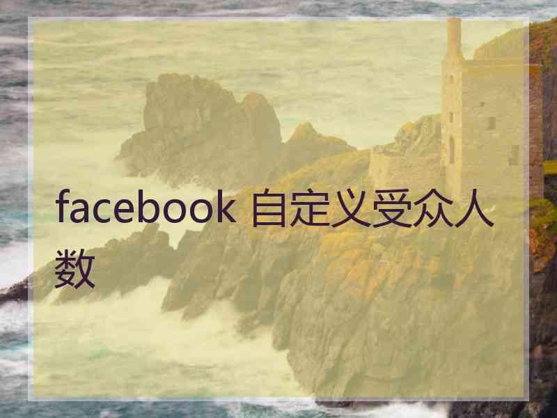 facebook 自定义受众人数