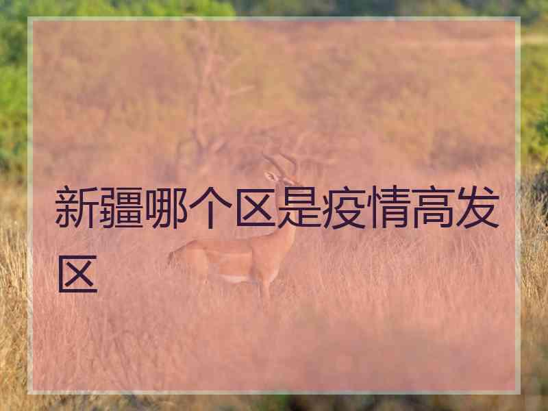 新疆哪个区是疫情高发区