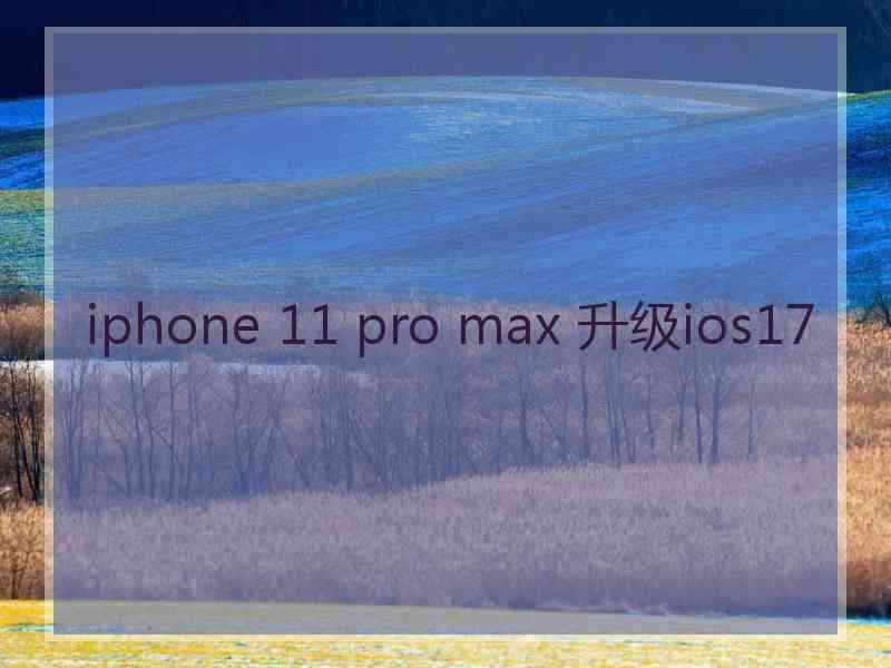 iphone 11 pro max 升级ios17