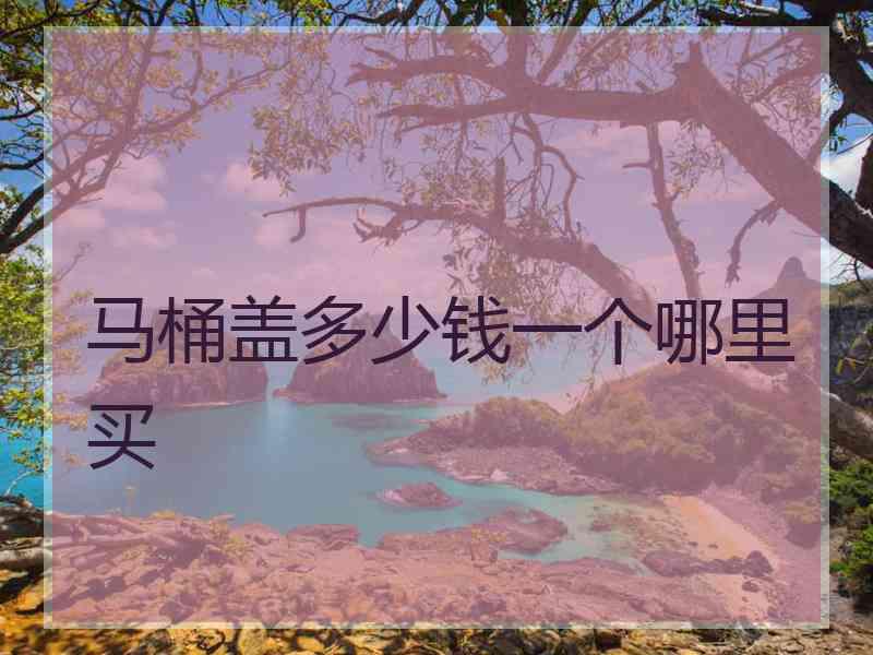 马桶盖多少钱一个哪里买