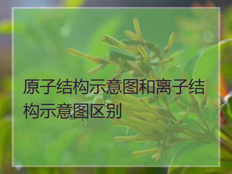 原子结构示意图和离子结构示意图区别