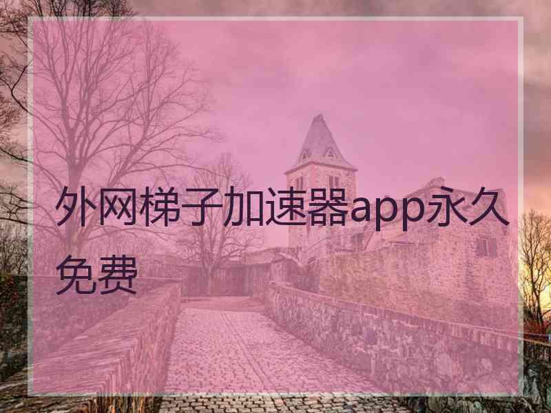 外网梯子加速器app永久免费
