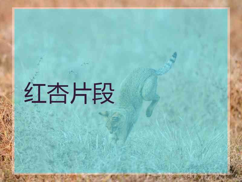 红杏片段