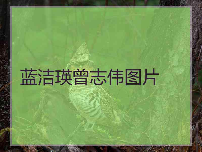 蓝洁瑛曾志伟图片