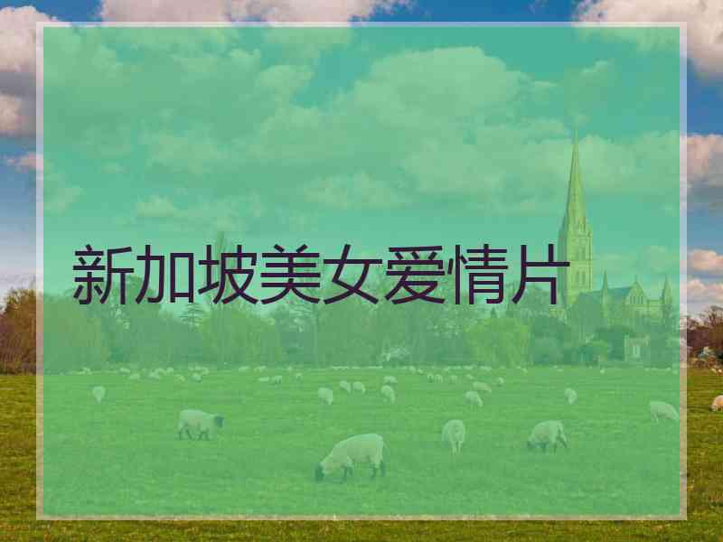 新加坡美女爱情片