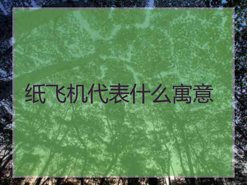 纸飞机代表什么寓意
