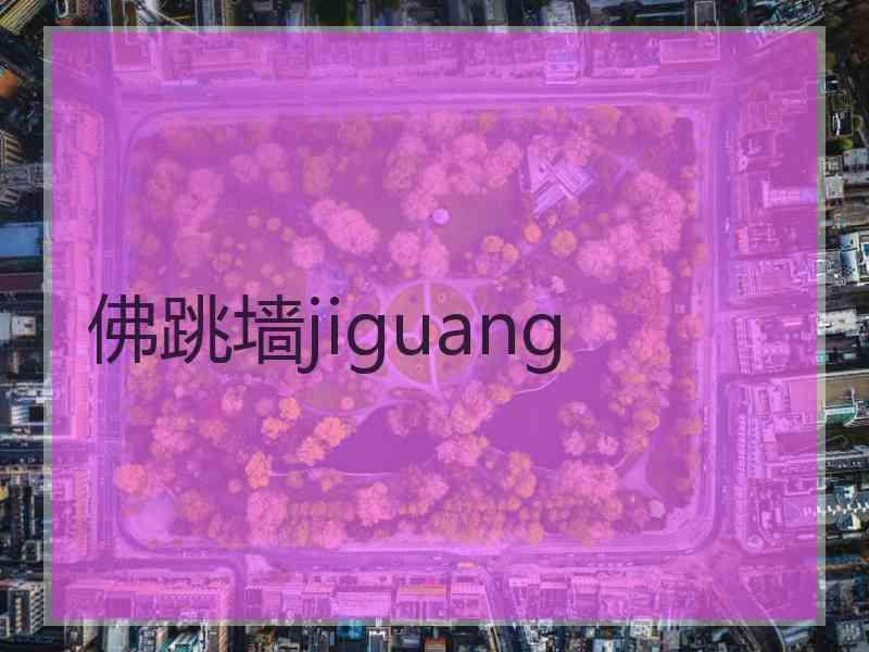 佛跳墙jiguang