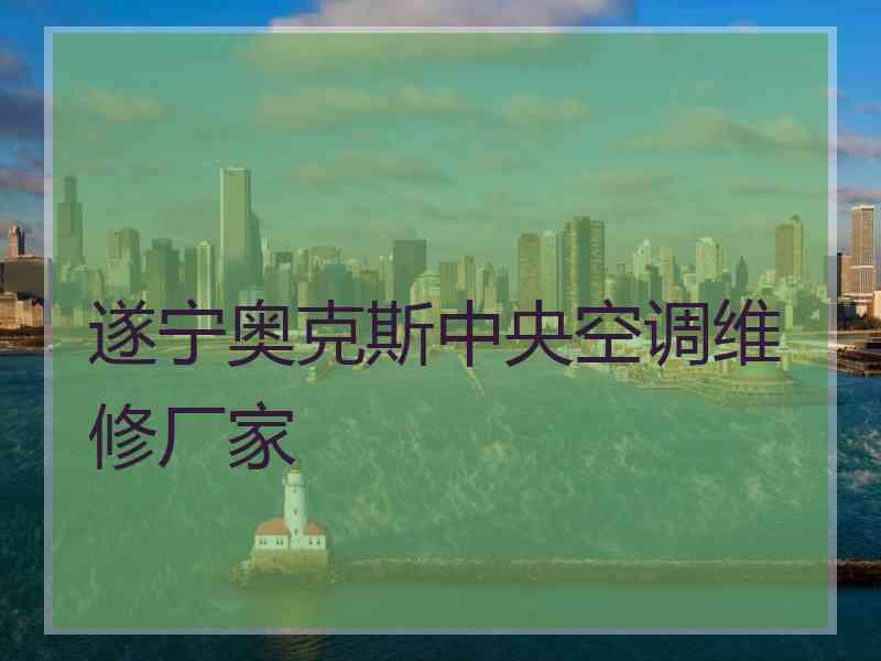 遂宁奥克斯中央空调维修厂家